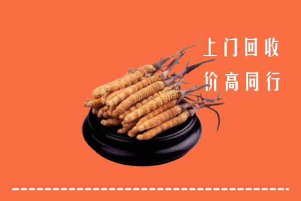 韶关冬虫夏草回收多少钱每克