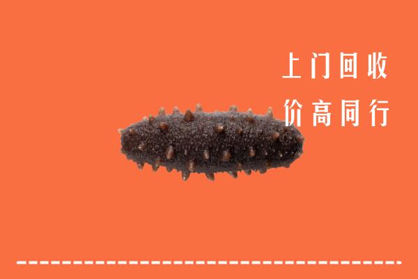 韶关高价回收海参
