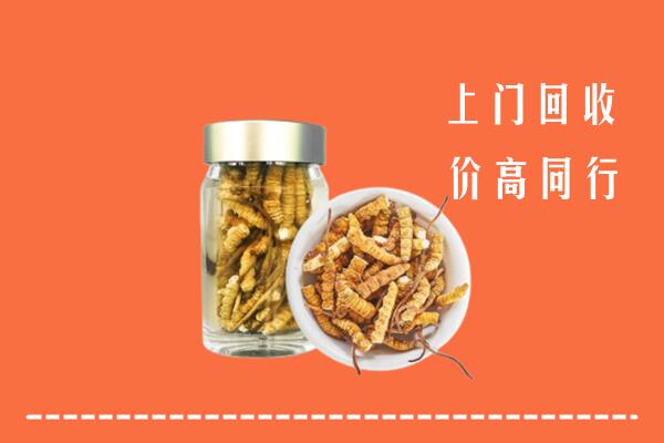高价求购：韶关回收冬虫夏草