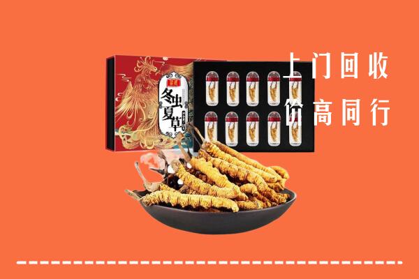 收购行情：韶关回收虫草